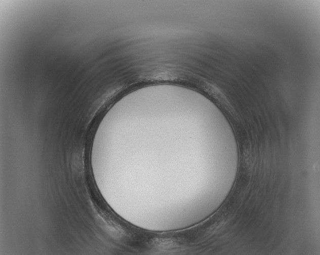 X0000068290534200604281646