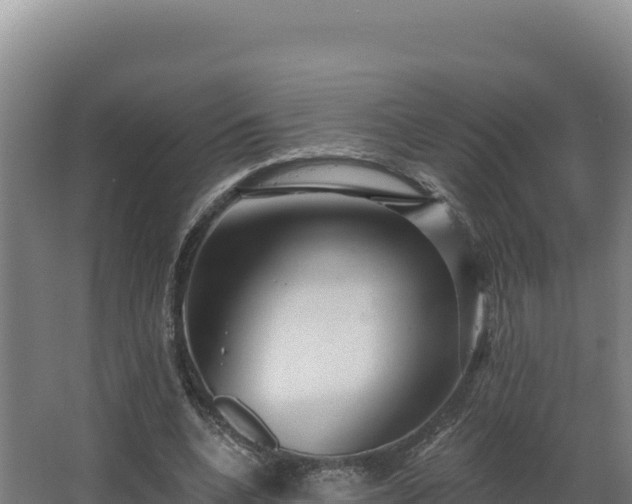 X0000068290536200604281646