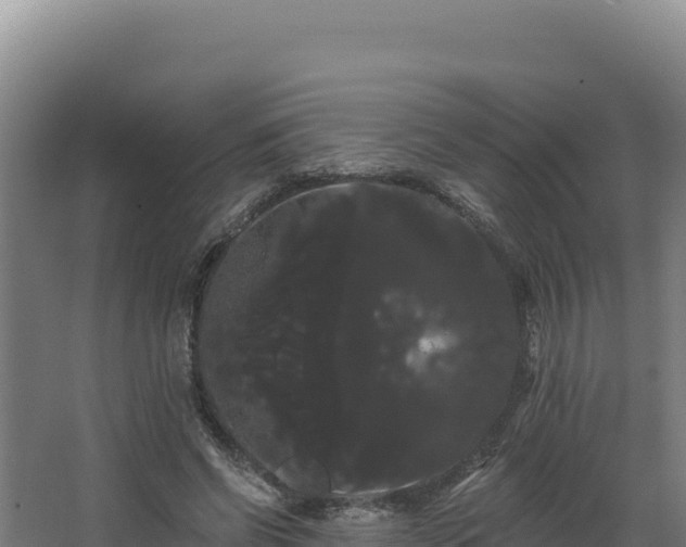X0000068290542200604281646