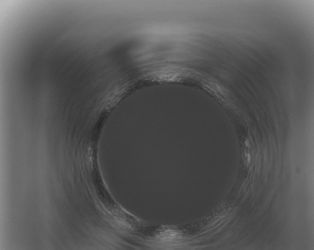 X0000068290551200604281646