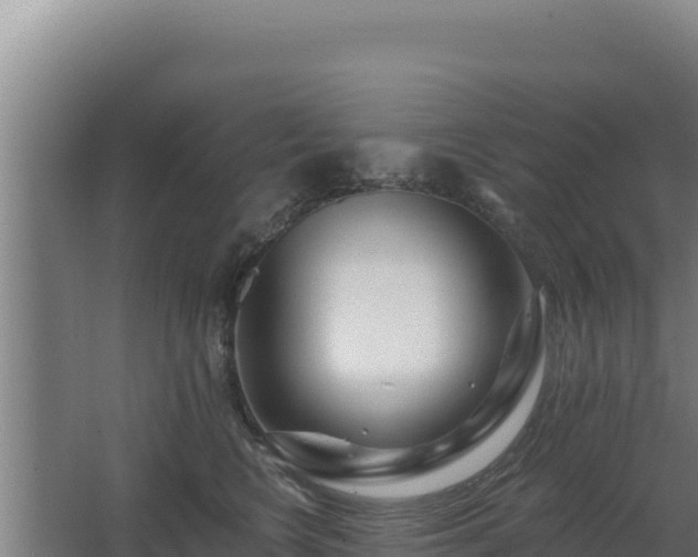 X0000068290566200604281646