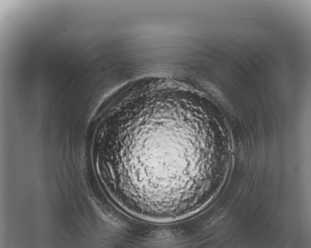 X0000068290588200604281646