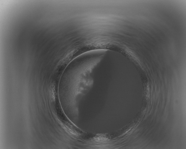 X0000068290644200604281644