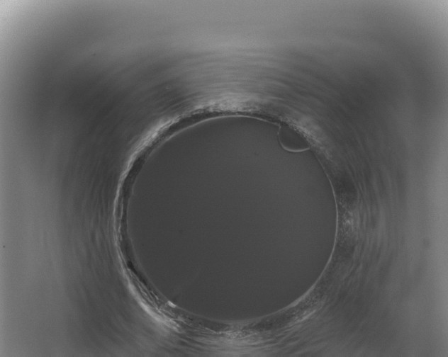 X0000068290678200604281644