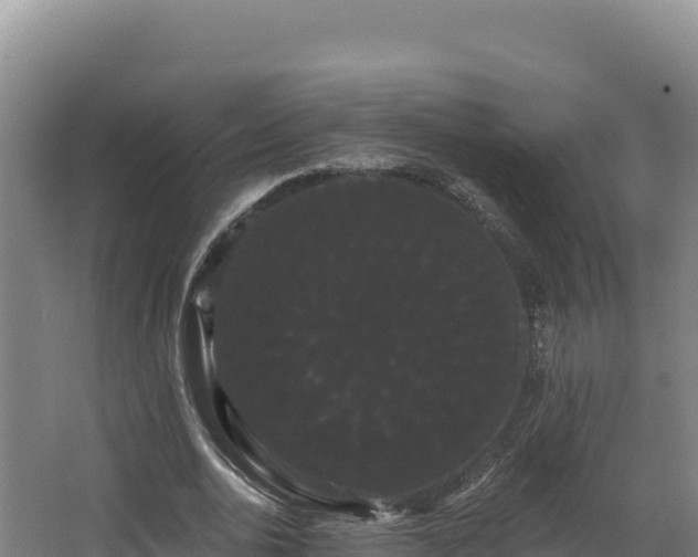 X0000068290726200604281643