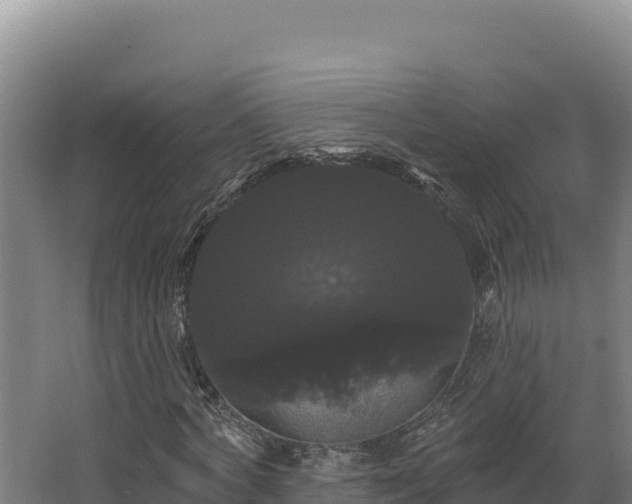 X0000068290772200604281642