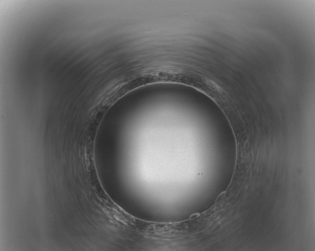 X0000068290774200604281642