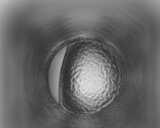X0000068290776200604281642