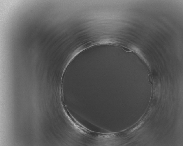 X0000068290810200604281642