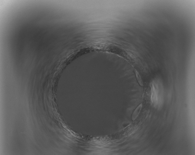 X0000068290817200604281641