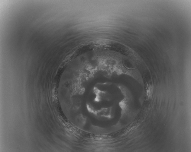 X0000068290819200604281641