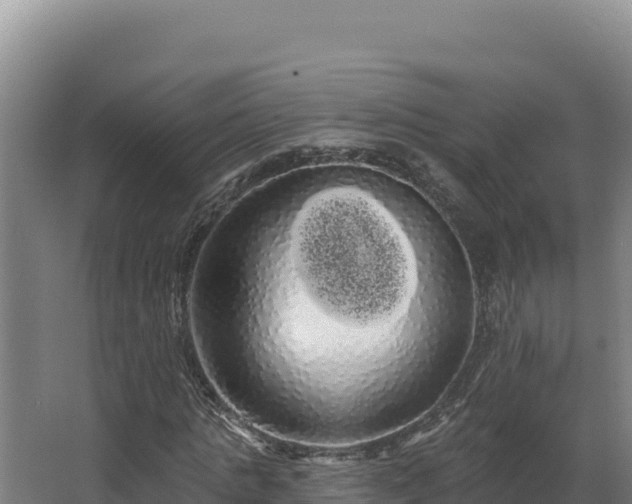 X0000068290821200604281641
