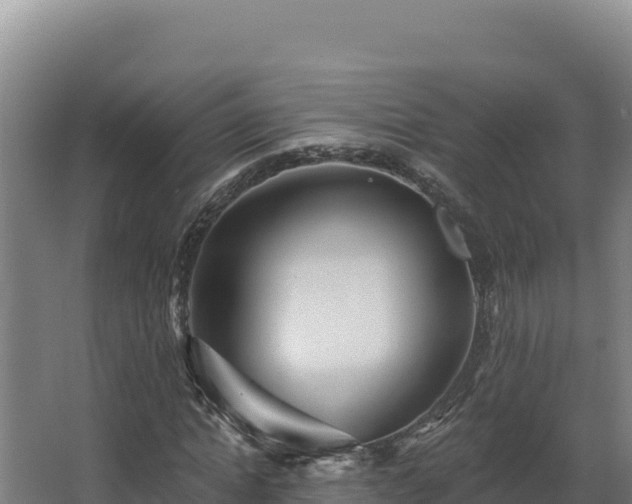 X0000068290822200604281641