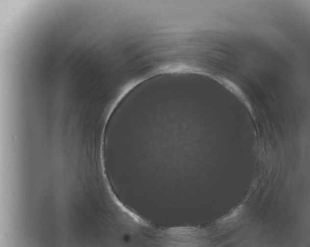 X0000068290863200604281642