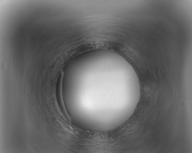 X0000068290865200604281641