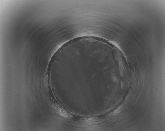 X0000068290879200604281641