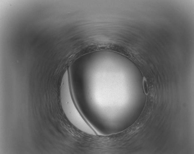 X0000068290916200604281639