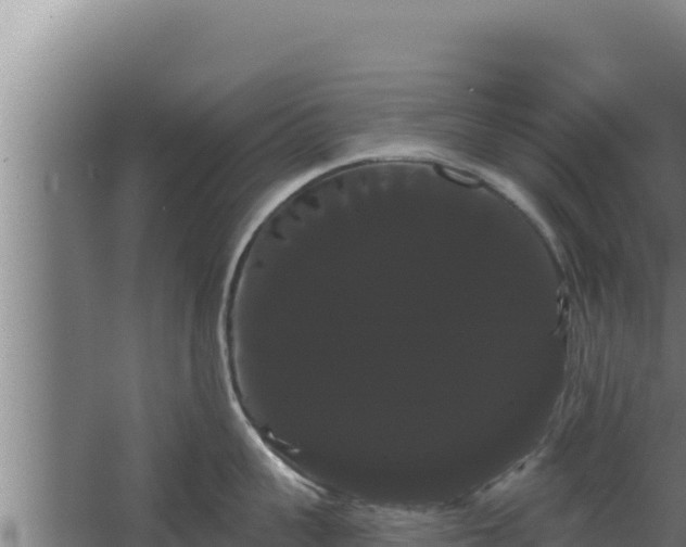 X0000068290959200604281640