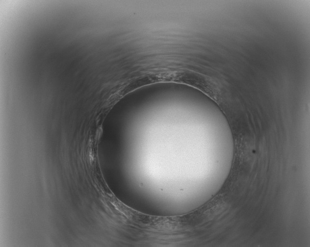 X0000068290962200604281639