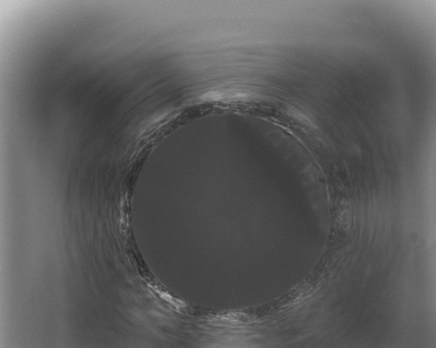 X0000068290966200604281639