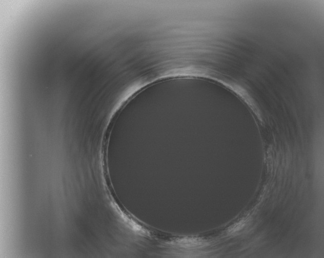X0000068290998200604281639