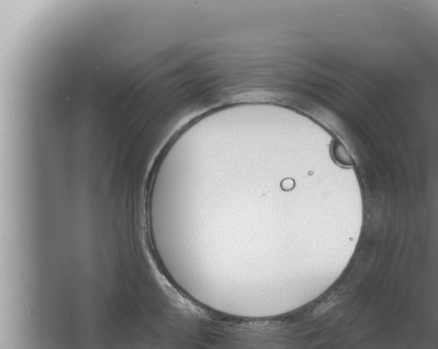 X0000068291000200604281639