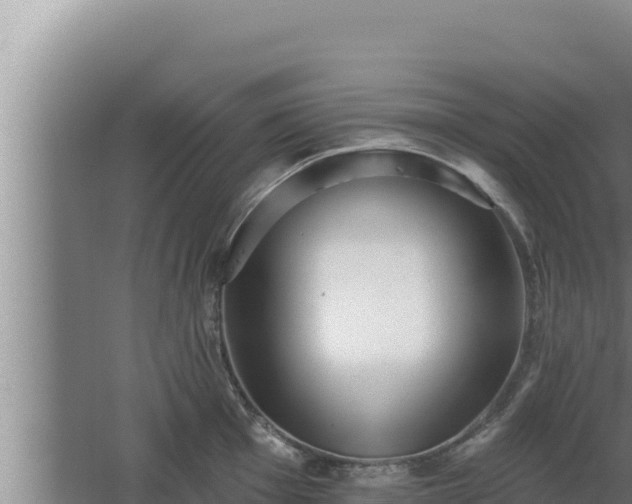 X0000068291001200604281639