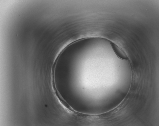 X0000068291006200604281639