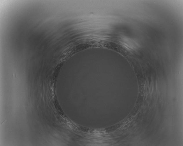 X0000068291013200604281638