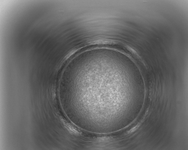 X0000068291017200604281638