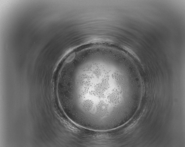 X0000068291021200604281638