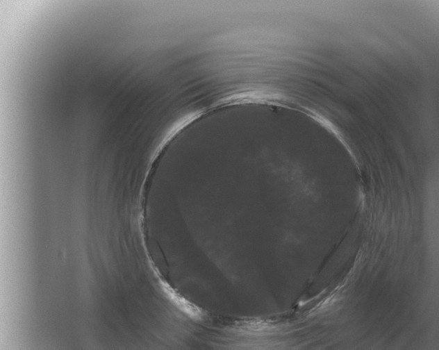 X0000068291042200604281638