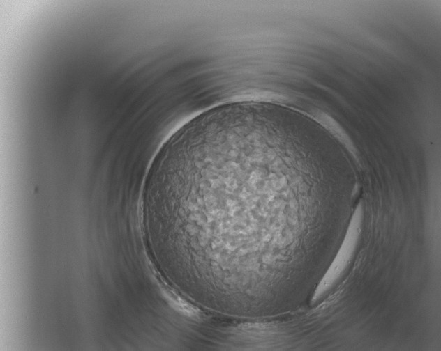 X0000068291044200604281638