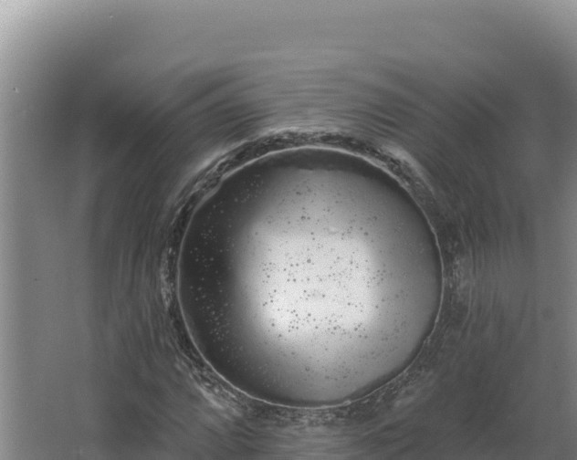 X0000068291064200604281638