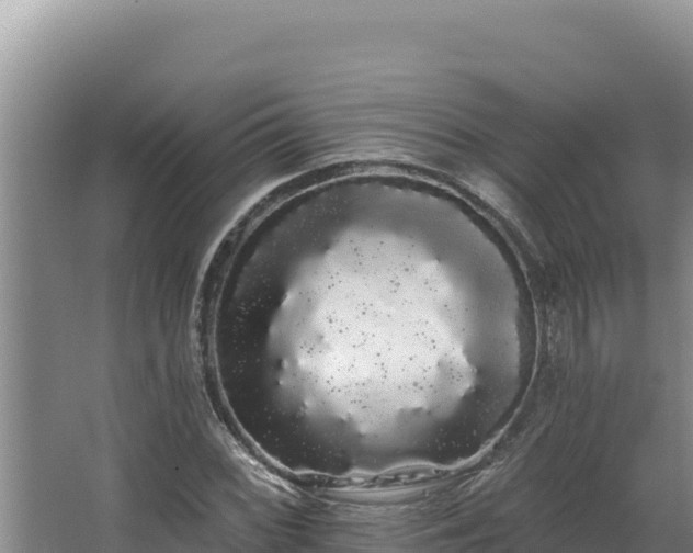 X0000068291068200604281638