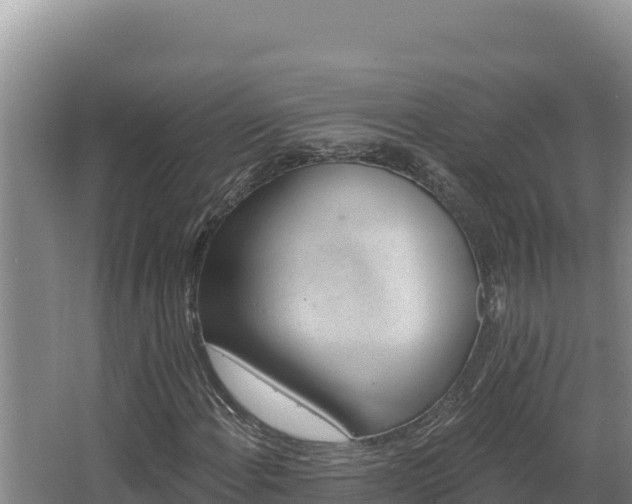 X0000068291108200604281636