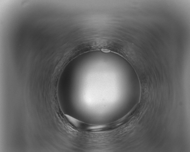 X0000068291153200604281636