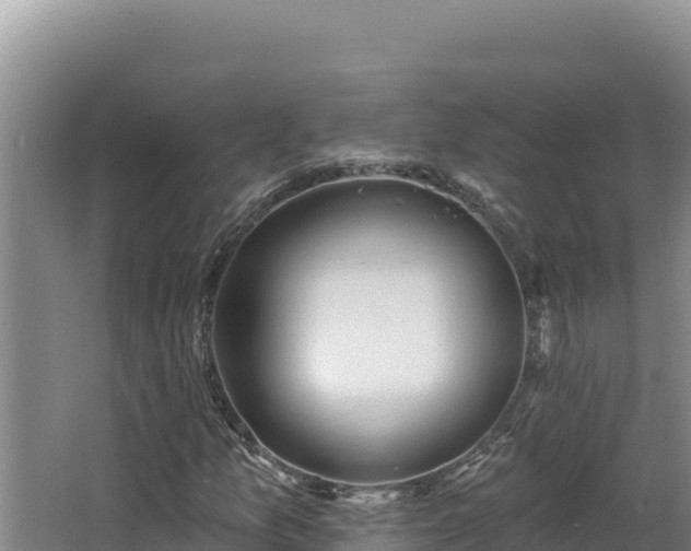 X0000068291157200604281636
