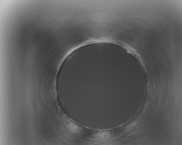 X0000068291174200604281636