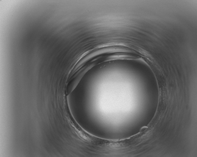 X0000068291177200604281636