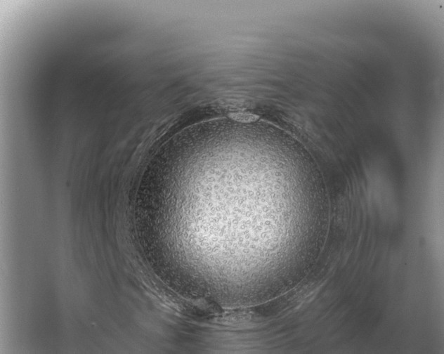 X0000068291201200604281634