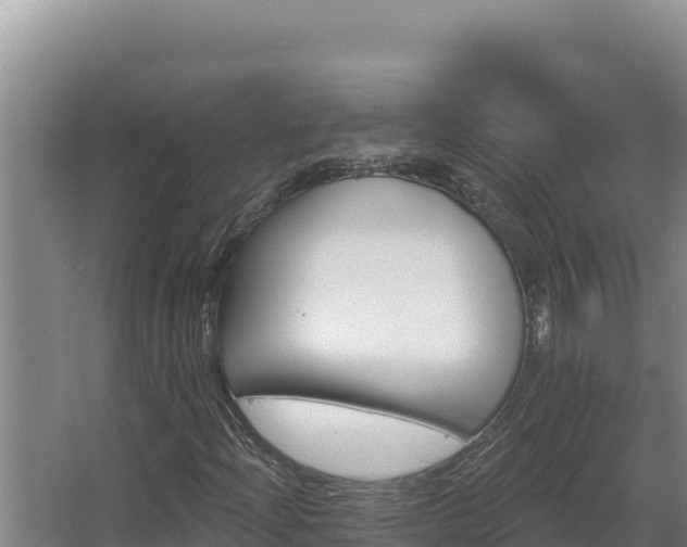 X0000068291204200604281635