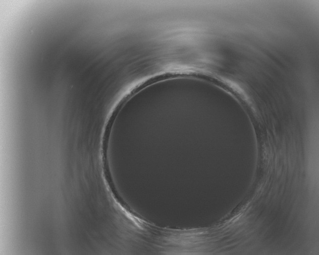X0000068291327200604281633