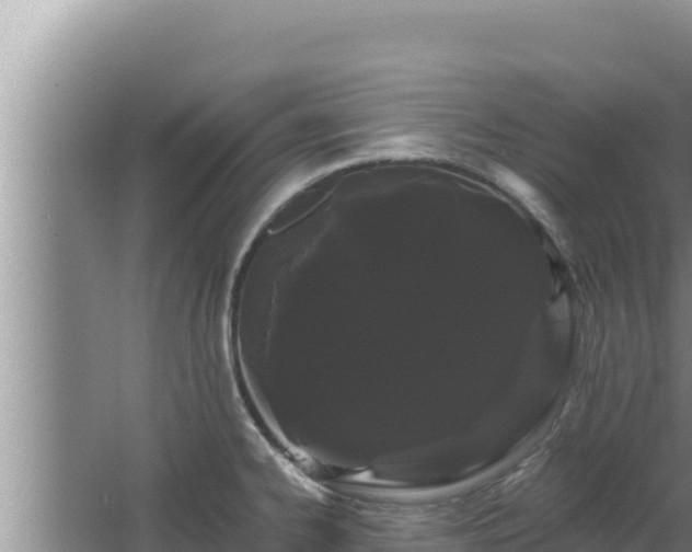 X0000068291334200604281634