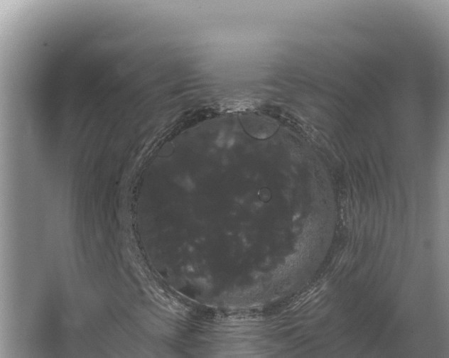 X0000068291393200604281631