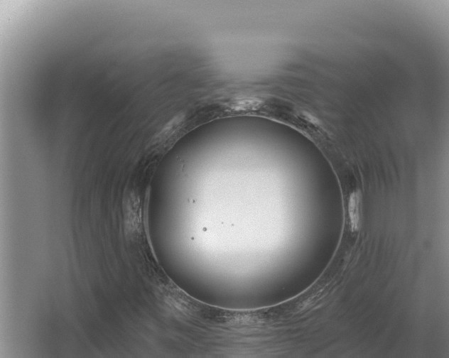 X0000068291443200604281631