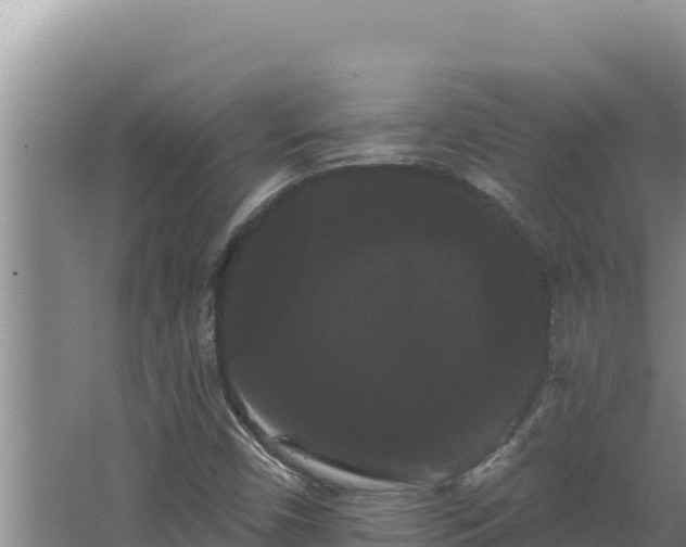 X0000068291450200604281631