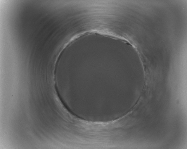 X0000068290002200605051919
