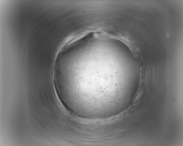 X0000068290003200605051919