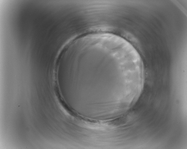 X0000068290012200605051919